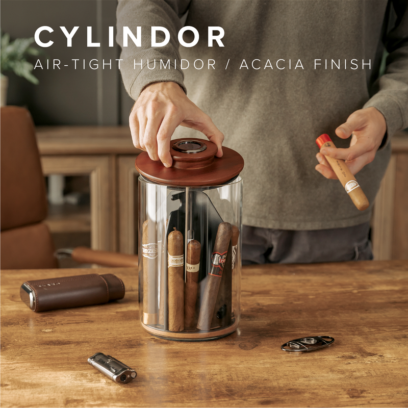 Cylindor Humidor Acacia Wood