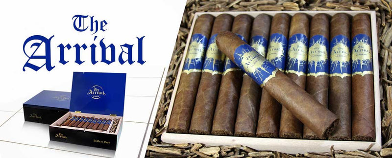 The Arrival Robusto